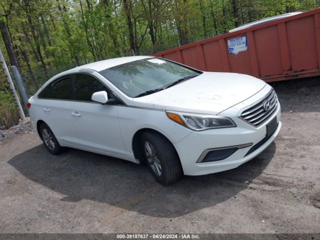 HYUNDAI SONATA 2017 5npe24af0hh442916