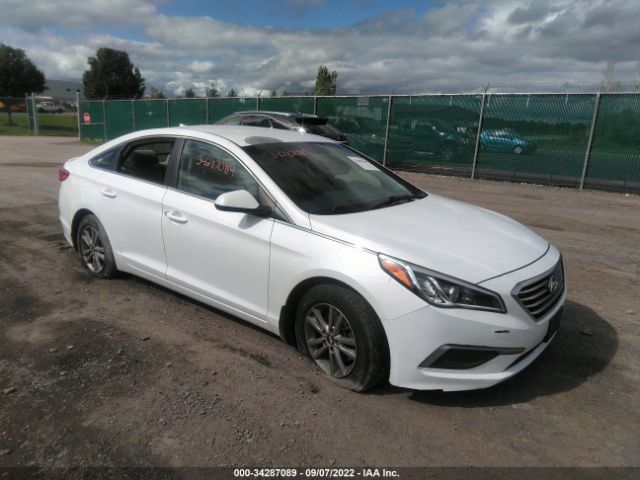 HYUNDAI SONATA 2017 5npe24af0hh462664