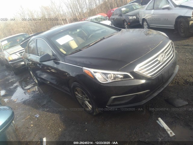 HYUNDAI SONATA 2017 5npe24af0hh469260