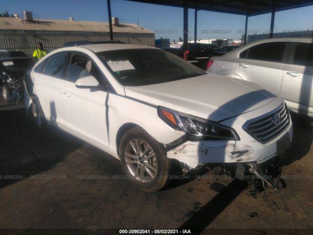 HYUNDAI SONATA 2017 5npe24af0hh475446