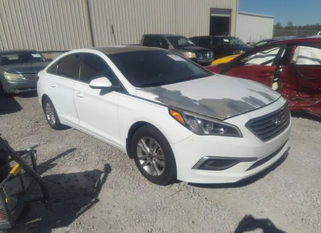 HYUNDAI SONATA 2017 5npe24af0hh516898