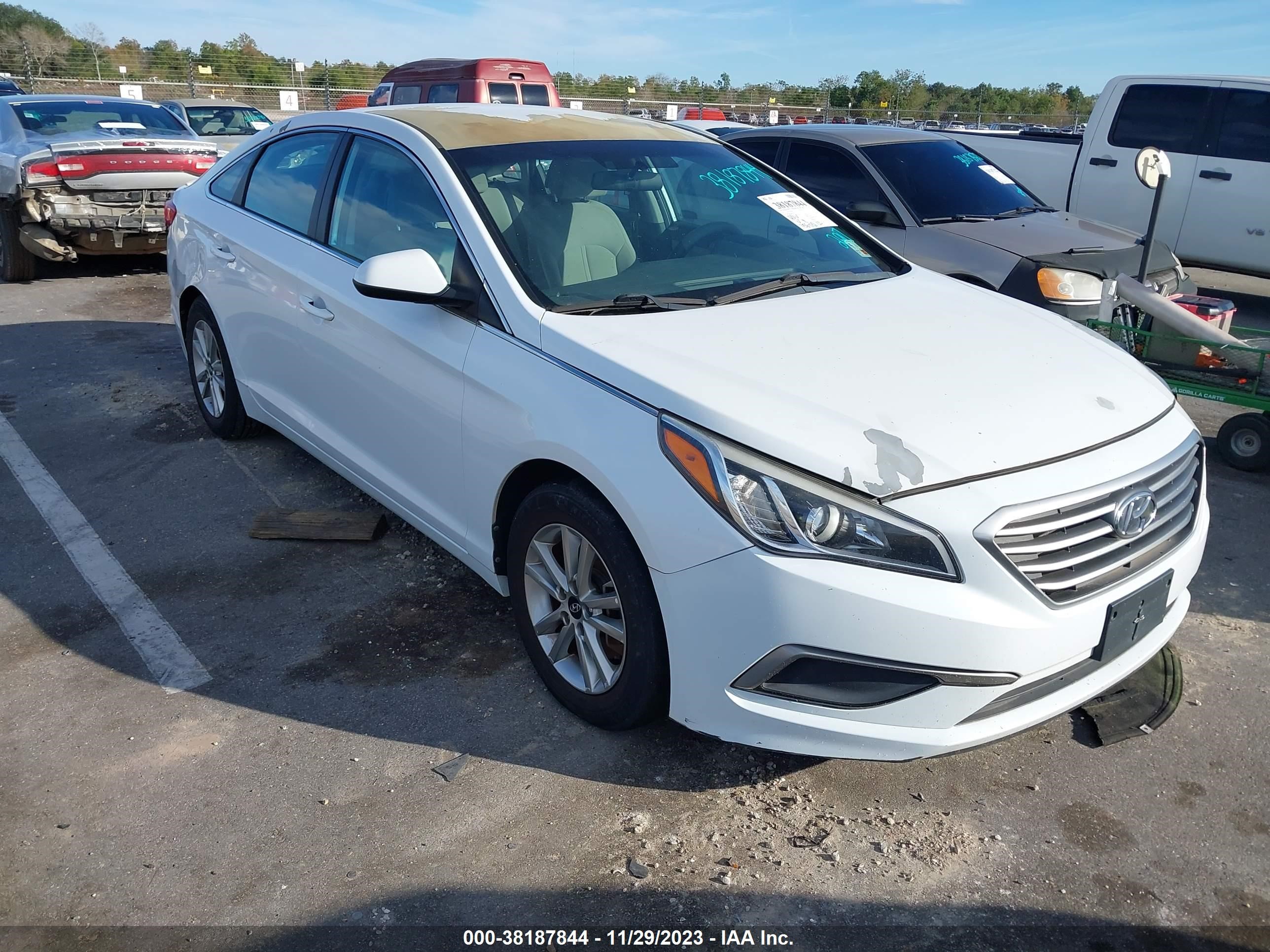 HYUNDAI SONATA 2017 5npe24af0hh520224