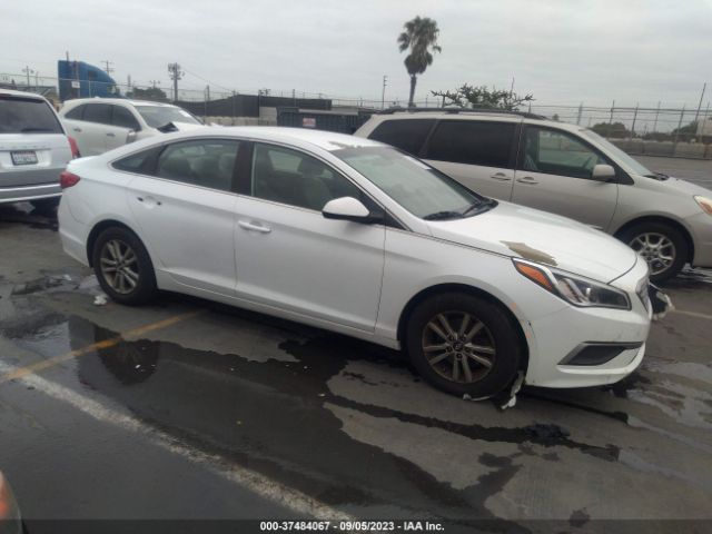 HYUNDAI SONATA 2017 5npe24af0hh527299