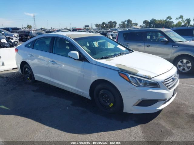 HYUNDAI SONATA 2017 5npe24af0hh527903