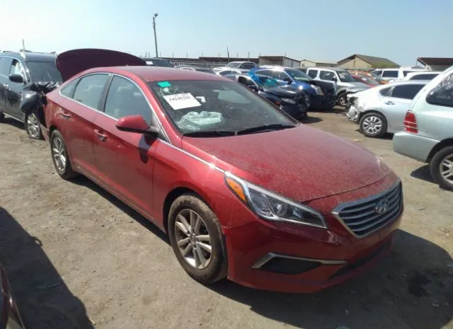 HYUNDAI SONATA 2017 5npe24af0hh539906