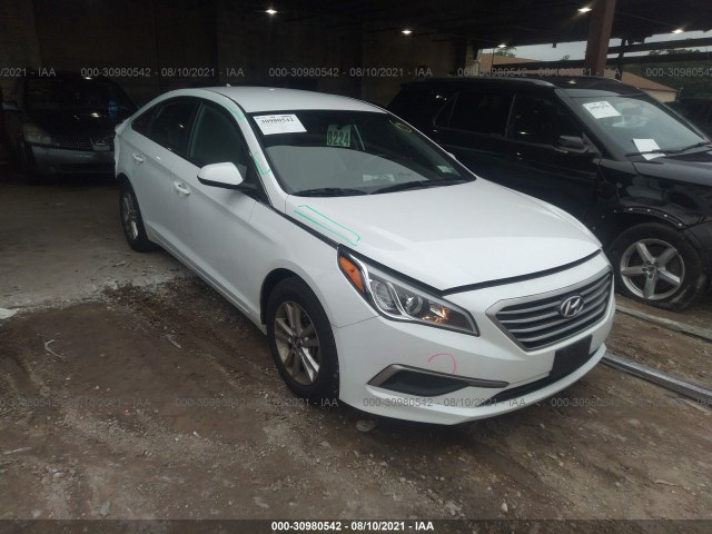 HYUNDAI SONATA 2017 5npe24af0hh547519