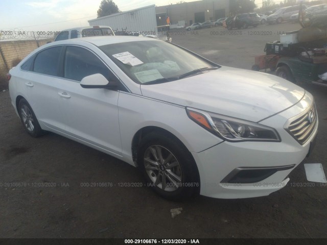 HYUNDAI SONATA 2017 5npe24af0hh565020