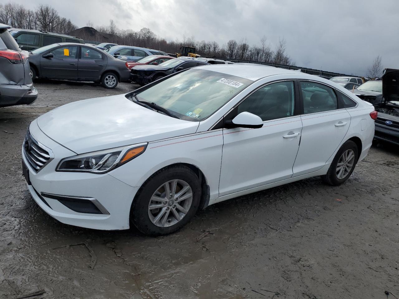 HYUNDAI SONATA 2017 5npe24af0hh584165