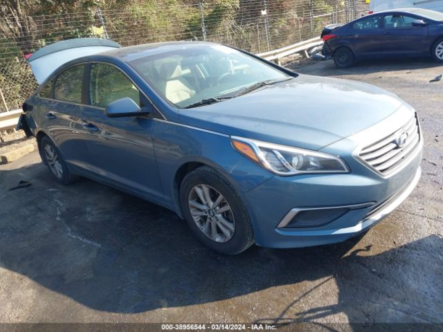 HYUNDAI SONATA 2017 5npe24af0hh594565