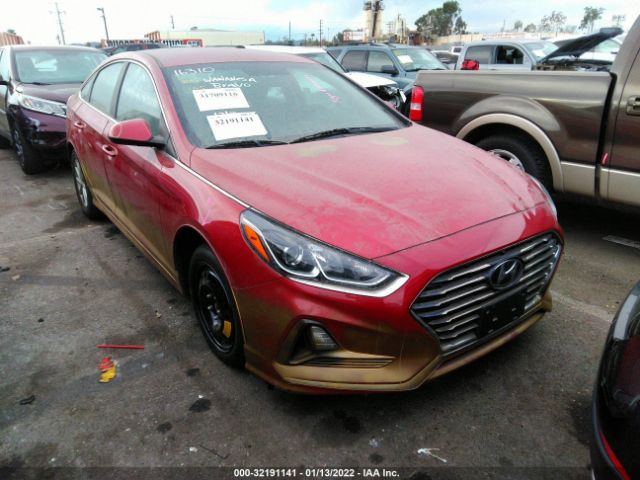 HYUNDAI SONATA 2018 5npe24af0jh598900