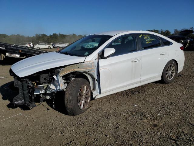 HYUNDAI SONATA 2018 5npe24af0jh604212