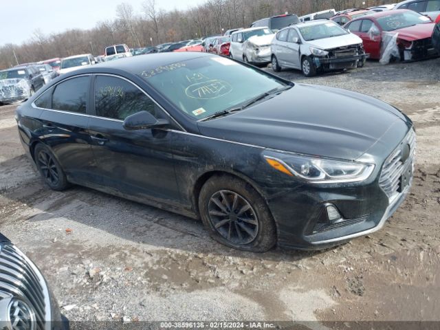 HYUNDAI SONATA 2018 5npe24af0jh606509