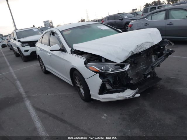 HYUNDAI SONATA 2018 5npe24af0jh658724