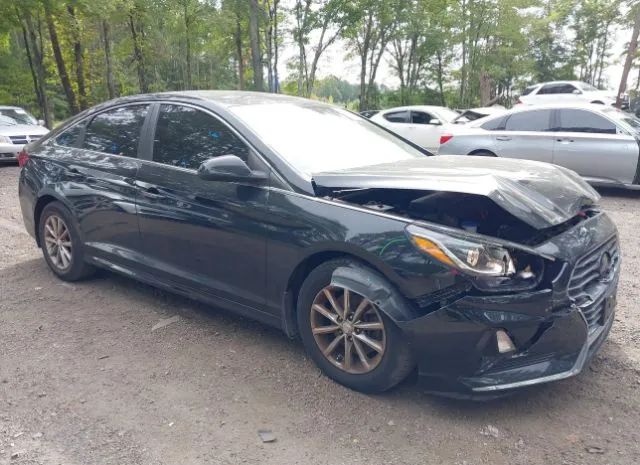 HYUNDAI SONATA 2018 5npe24af0jh664295