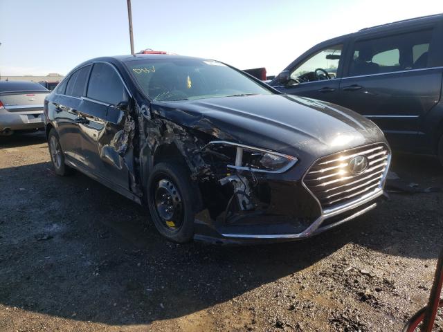 HYUNDAI SONATA SE 2018 5npe24af0jh666841