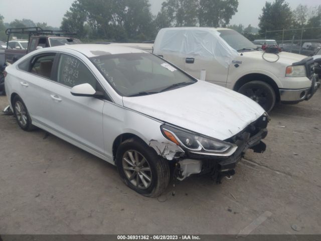 HYUNDAI SONATA 2018 5npe24af0jh684157