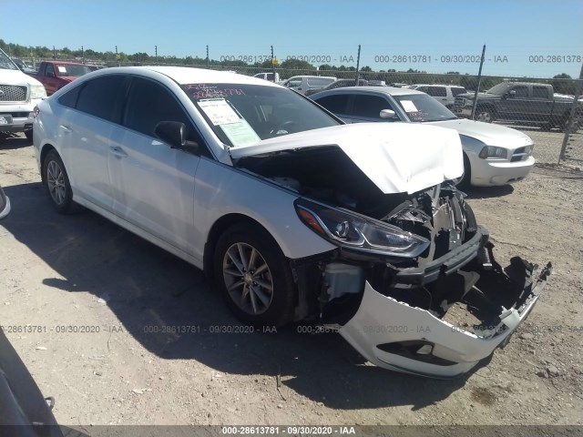 HYUNDAI SONATA 2018 5npe24af0jh692727