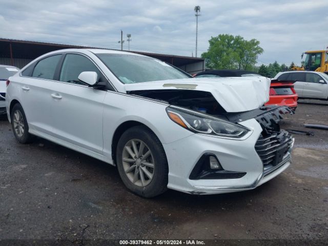 HYUNDAI SONATA 2019 5npe24af0kh731818