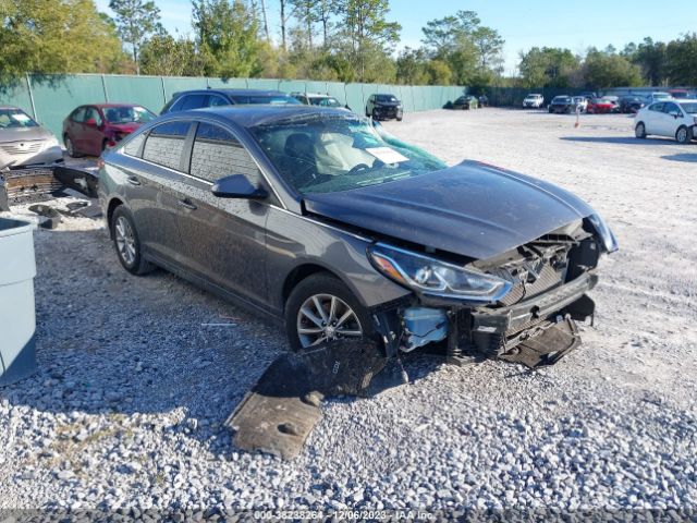 HYUNDAI SONATA 2019 5npe24af0kh732001