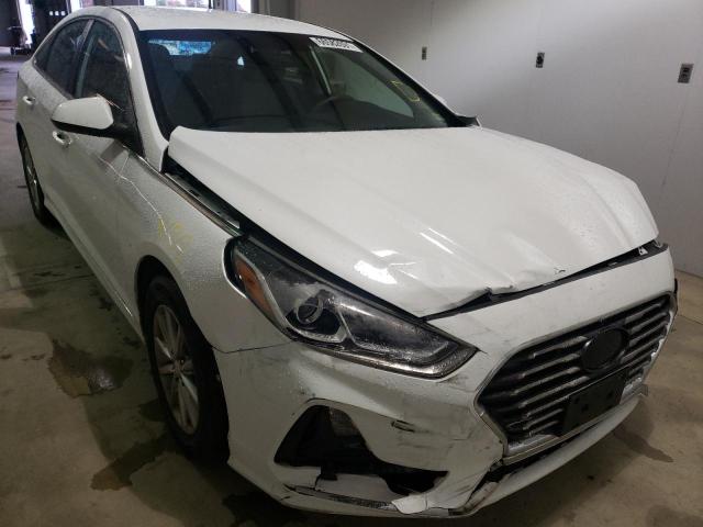 HYUNDAI SONATA SE 2019 5npe24af0kh735738