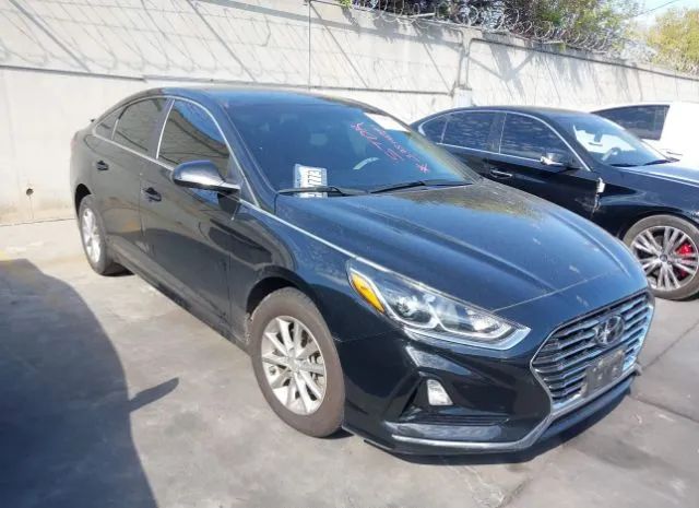 HYUNDAI SONATA 2019 5npe24af0kh736761