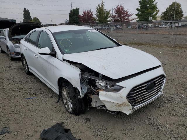 HYUNDAI SONATA SE 2019 5npe24af0kh737179