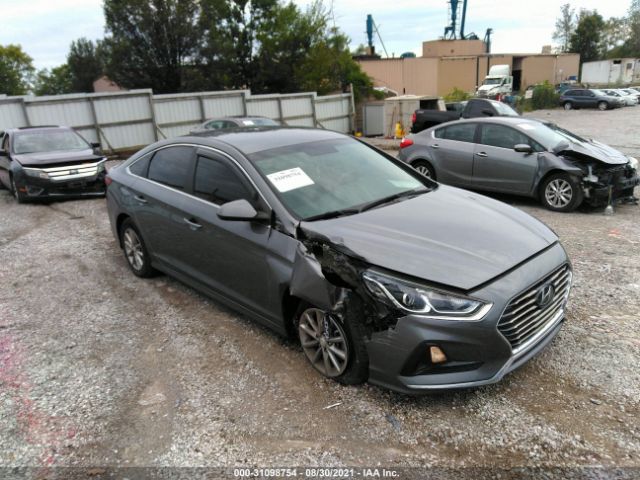 HYUNDAI SONATA 2019 5npe24af0kh737375