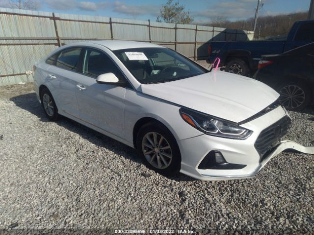 HYUNDAI SONATA 2019 5npe24af0kh743211