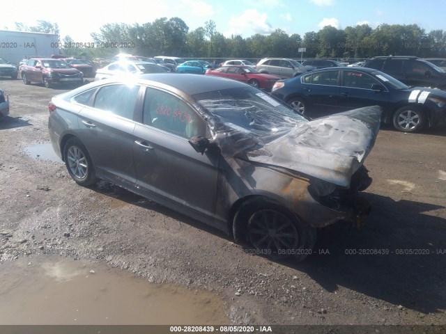 HYUNDAI SONATA 2019 5npe24af0kh744682