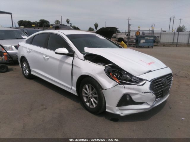 HYUNDAI SONATA 2019 5npe24af0kh744925