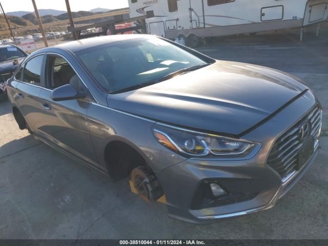 HYUNDAI SONATA 2019 5npe24af0kh745301