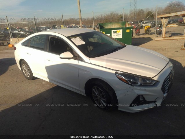 HYUNDAI SONATA 2019 5npe24af0kh752426