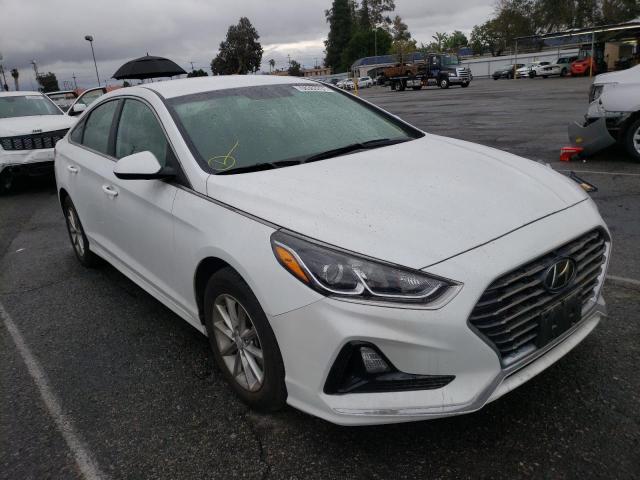 HYUNDAI SONATA 2019 5npe24af0kh754547