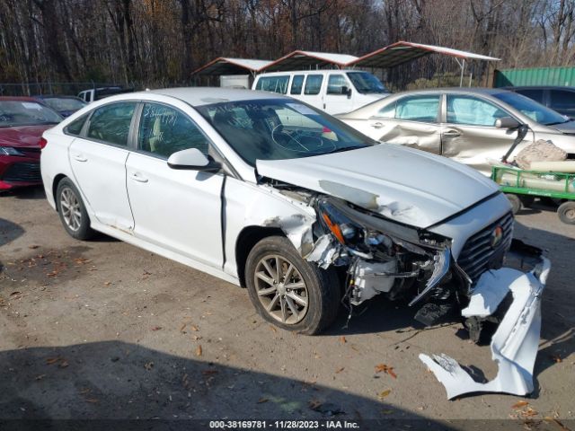 HYUNDAI SONATA 2019 5npe24af0kh759456