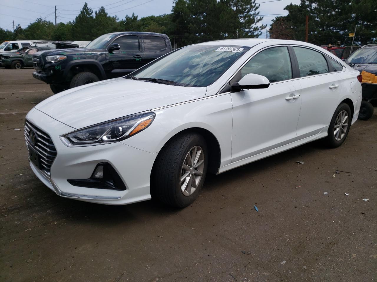 HYUNDAI SONATA 2019 5npe24af0kh764026