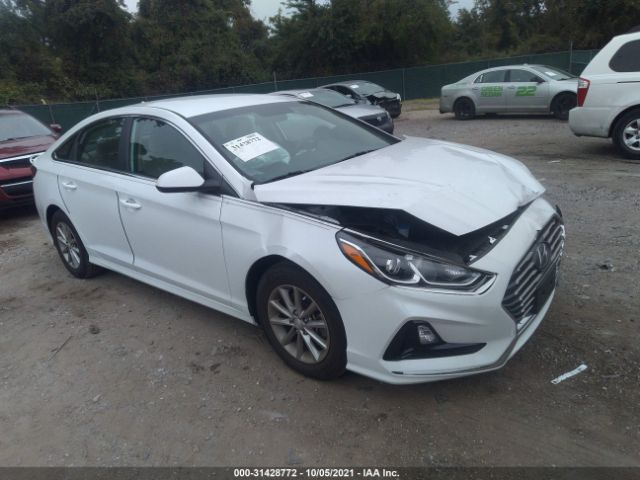 HYUNDAI SONATA 2019 5npe24af0kh766746