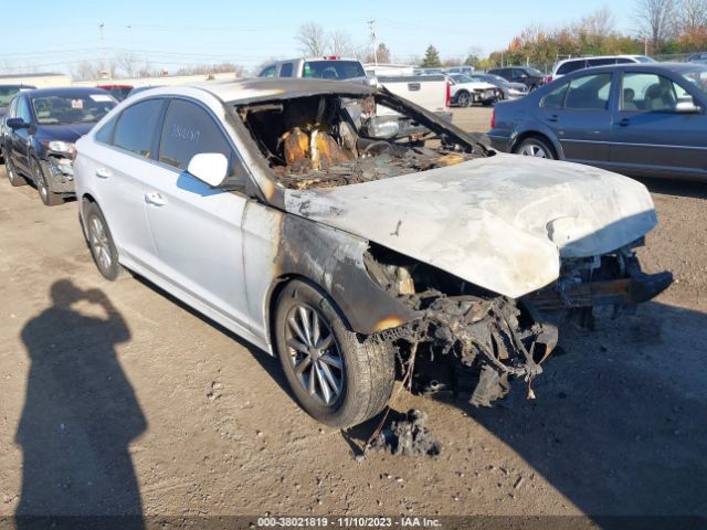 HYUNDAI SONATA 2019 5npe24af0kh769565