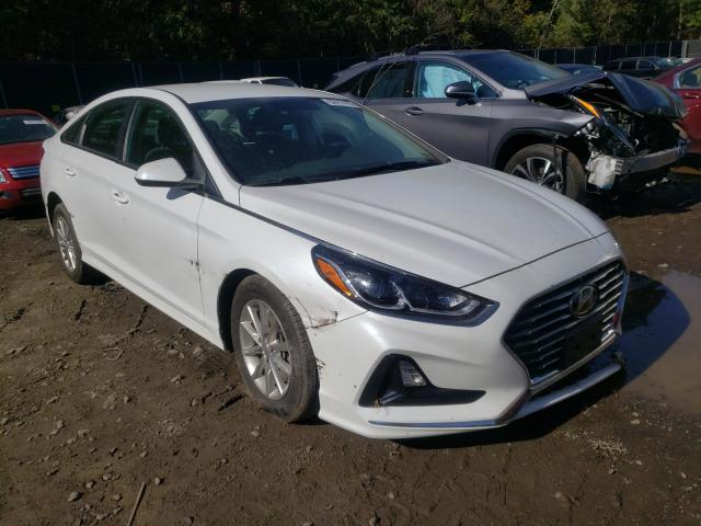 HYUNDAI SONATA SE 2019 5npe24af0kh770800