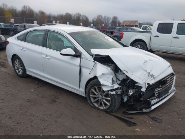 HYUNDAI SONATA 2019 5npe24af0kh772708