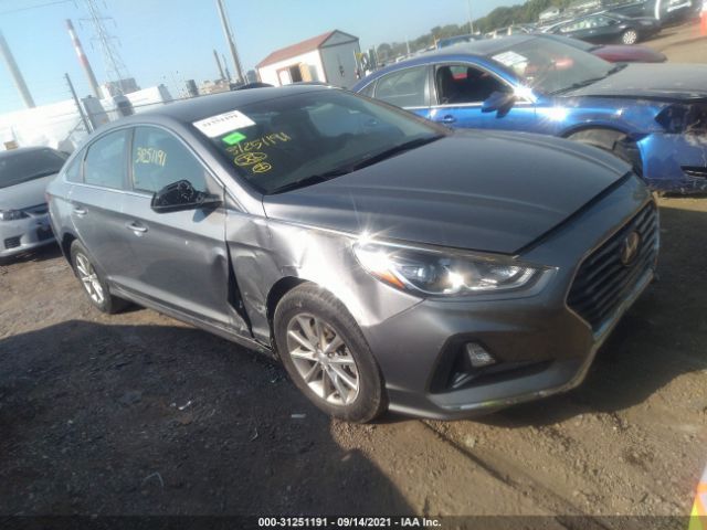 HYUNDAI SONATA 2019 5npe24af0kh773759