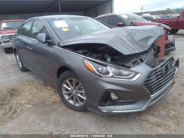 HYUNDAI SONATA 2019 5npe24af0kh774801