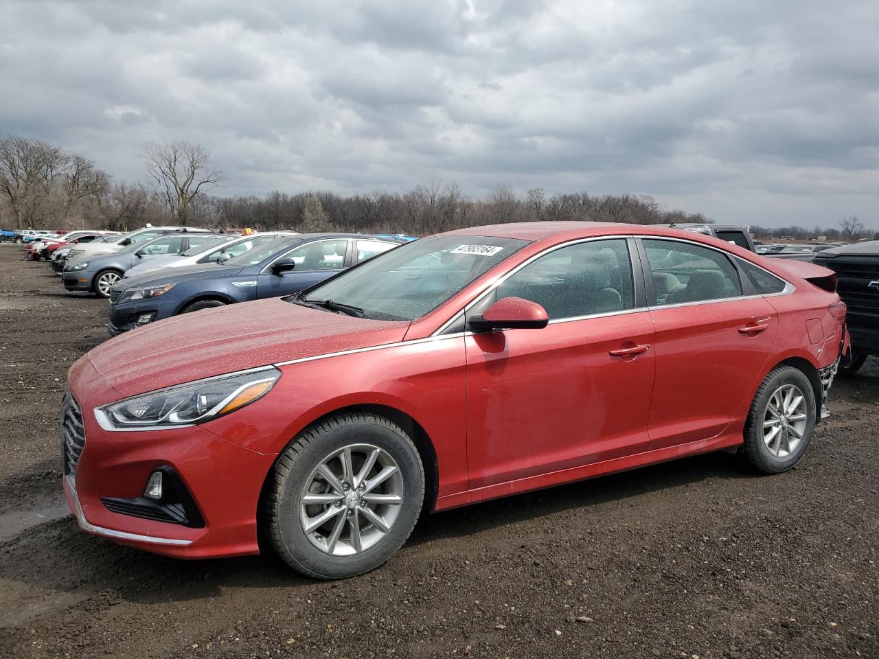 HYUNDAI SONATA 2019 5npe24af0kh783756