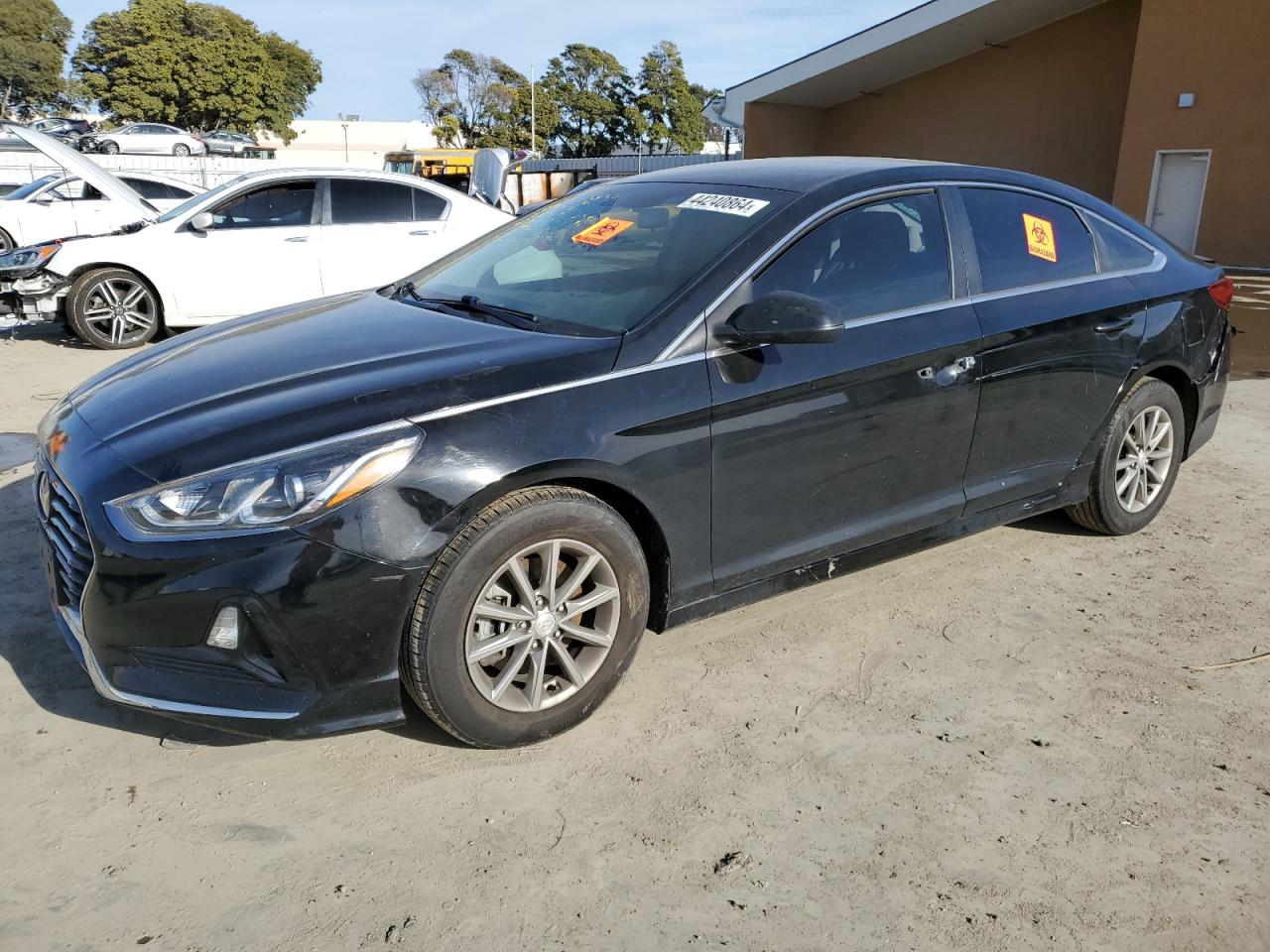 HYUNDAI SONATA 2019 5npe24af0kh787158