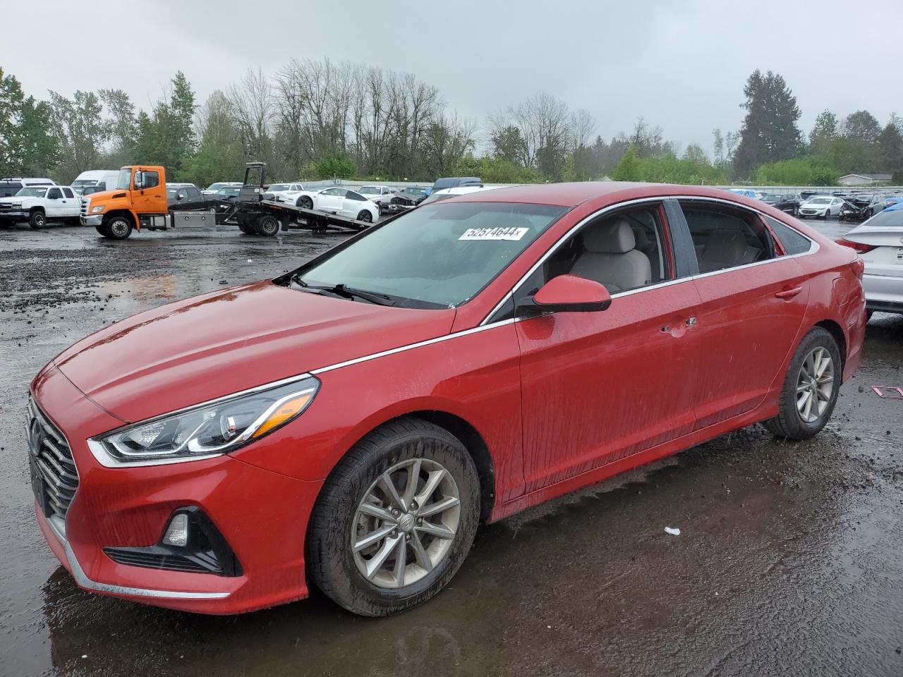 HYUNDAI SONATA 2019 5npe24af0kh787192