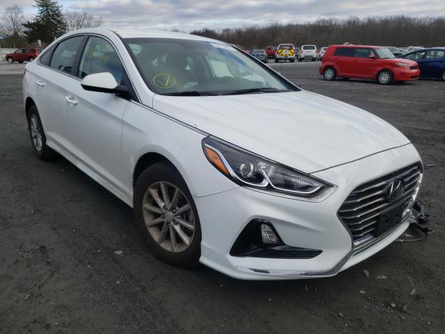 HYUNDAI SONATA SE 2019 5npe24af0kh790044