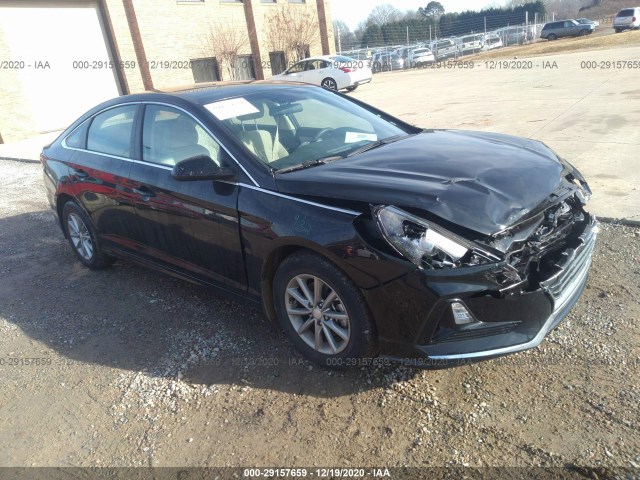 HYUNDAI SONATA 2019 5npe24af0kh802984