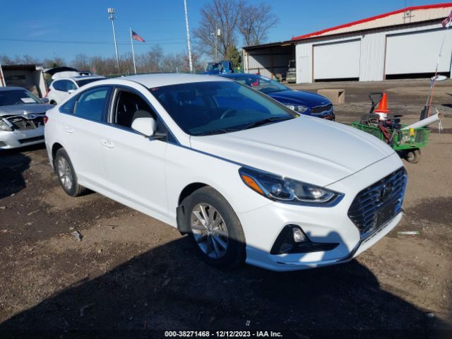 HYUNDAI SONATA 2019 5npe24af0kh810471