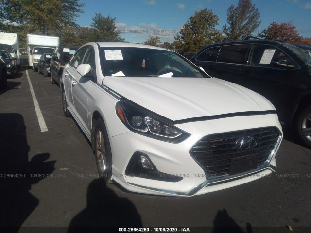 HYUNDAI SONATA 2019 5npe24af0kh812401