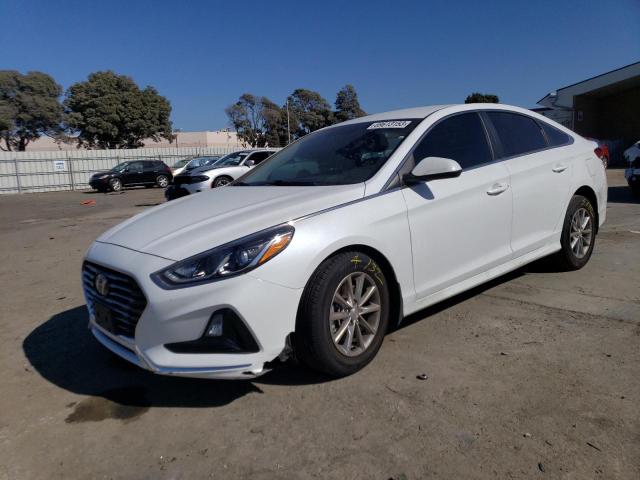 HYUNDAI SONATA 2019 5npe24af0kh813371