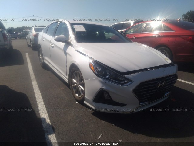 HYUNDAI SONATA 2019 5npe24af0kh813497